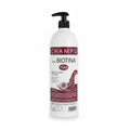 Champú con Biotina Nelly 1L