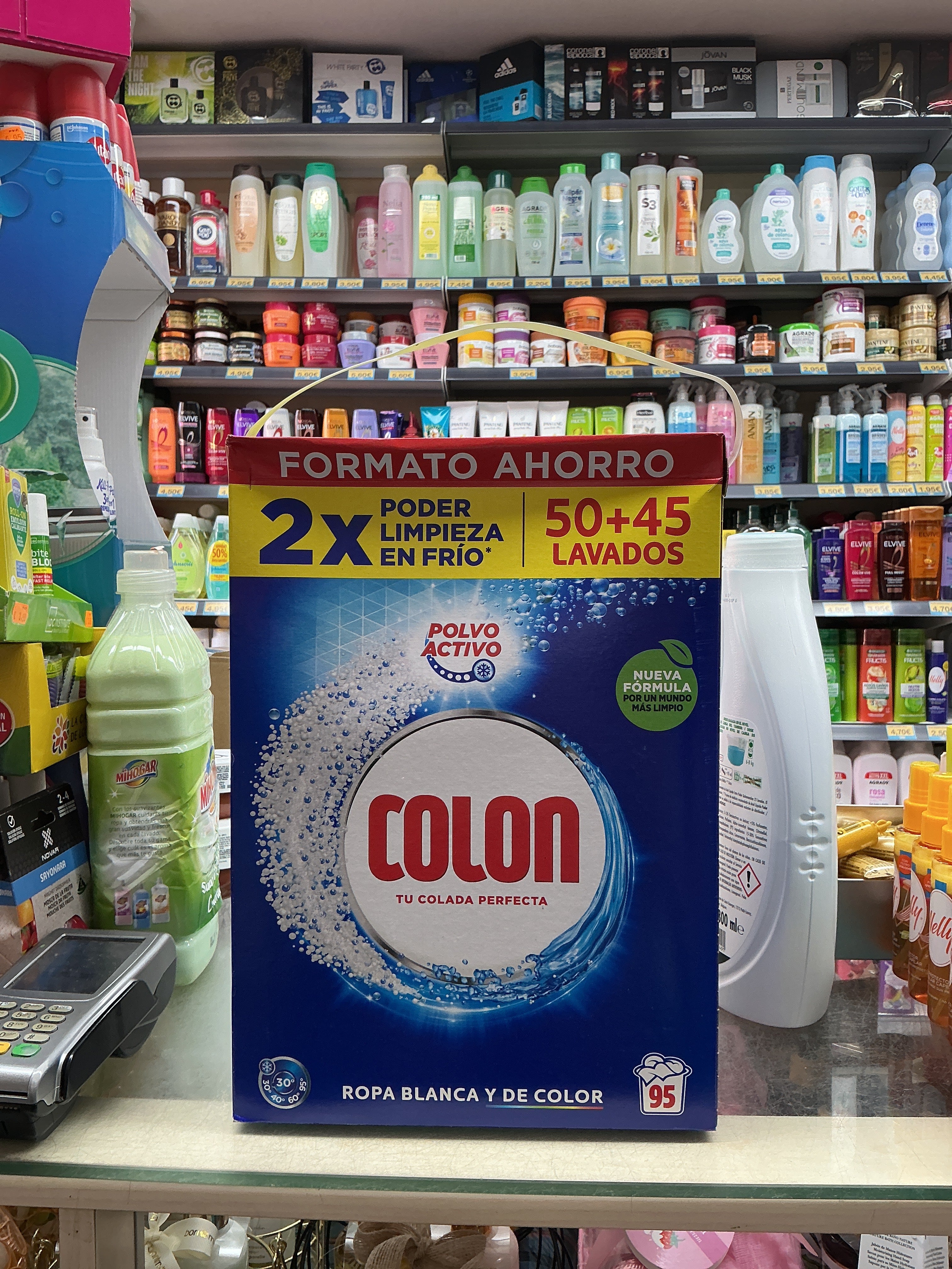 Colon