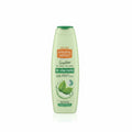 Natural honey te cha verde